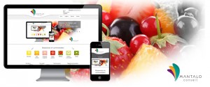 Visuels du nouveau site de Mantalo