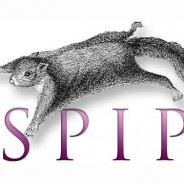 SPIP, qu’est-ce que c’est ?